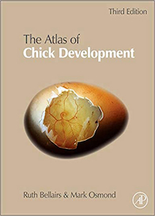 عکس Atlas of Chick Development, 3rd Edition 2014