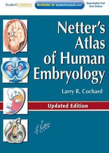 عکس Netter’s Atlas of Human Embryology2012 اطلس جنین شناسی انسان