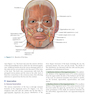 CURRENT Diagnosis - Treatment Otolaryngology-Head and Neck Surgery 4th Edition