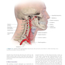 CURRENT Diagnosis - Treatment Otolaryngology-Head and Neck Surgery 4th Edition