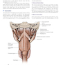 CURRENT Diagnosis - Treatment Otolaryngology-Head and Neck Surgery 4th Edition