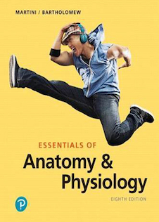 عکس Essentials of Anatomy - Physiology 8th Edition2019 آناتومی و فیزیولوژی