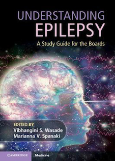 عکس Understanding Epilepsy: A Study Guide for the Boards2020 درک صرع