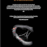 Diagnostic Ultrasound: Head and Neck 2nd Edition2019