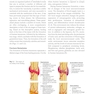 Fracture Reduction and Fixation Techniques: Upper Extremities2018