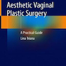 Aesthetic Vaginal Plastic Surgery 1st Edition2019