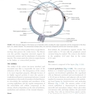 The Eye: Basic Sciences in Practice 4th Edition2015