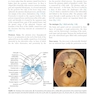 The Eye: Basic Sciences in Practice 4th Edition2015