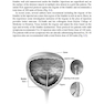 Botulinum Toxin Treatment: What Everyone Should Know