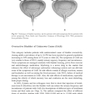 Botulinum Toxin Treatment: What Everyone Should Know