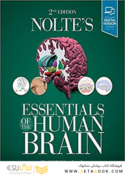 Nolte’s Essentials of the Human Brain 2nd Edition2018 مغز انسان