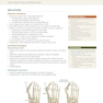 Operative Techniques: Foot and Ankle Surgery 2nd Edition2017