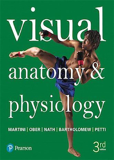 عکس Visual Anatomy - Physiology 3rd Edition2017 فیزیولوژی  ، آناتومی