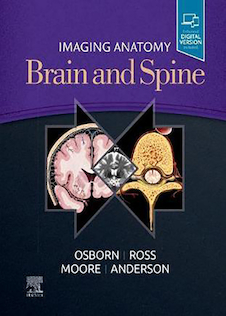 عکس Imaging-Anatomy-Brain-and-Spine2020 تصویربرداری از آناتومی مغز و ستون فقرات
