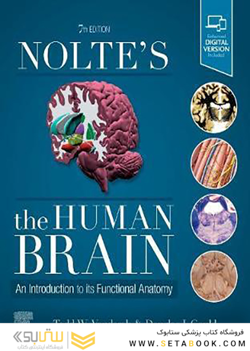 Nolte’s The Human Brain, 8th Edition2020 مغز انسان
