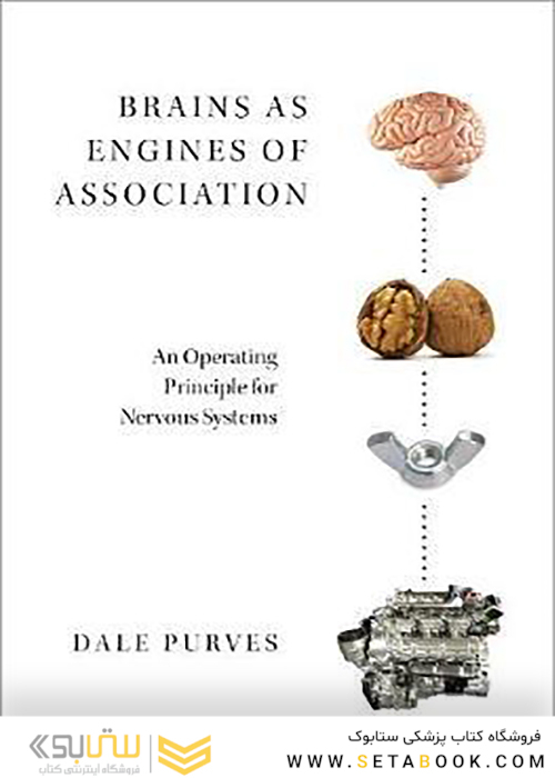 Brains as Engines of Association2019 مغزها به عنوان موتورهای انجمن