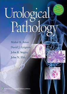 عکس Urological Pathology, 1st Edition2013