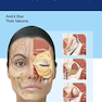 Dermal Fillers: Facial Anatomy and Injection Techniques2020