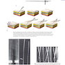 Image-Guided Interventions, 3rd Edition2020