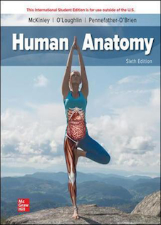 عکس Human Anatomy