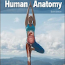 Human Anatomy