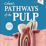 Cohen’s Pathways of the Pulp 12th Edition 2020