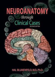 عکس Neuroanatomy through Clinical Cases, 2nd Edition2010 عصب کشی از طریق موارد بالینی