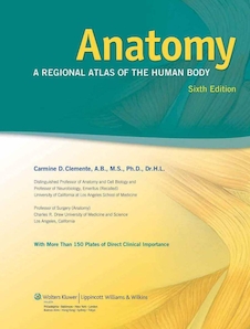 عکس Anatomy: A Regional Atlas of the Human Body, 6th Edition