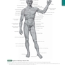 Anatomy: A Regional Atlas of the Human Body, 6th Edition