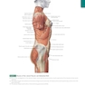 Anatomy: A Regional Atlas of the Human Body, 6th Edition