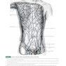Anatomy: A Regional Atlas of the Human Body, 6th Edition