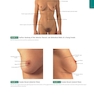 Anatomy: A Regional Atlas of the Human Body, 6th Edition