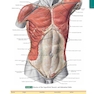 Anatomy: A Regional Atlas of the Human Body, 6th Edition