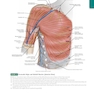 Anatomy: A Regional Atlas of the Human Body, 6th Edition