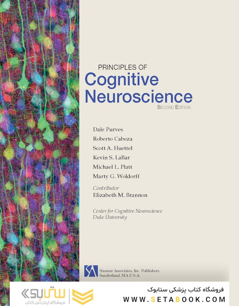 Principles of Cognitive Neuroscience, 2nd Edition2013