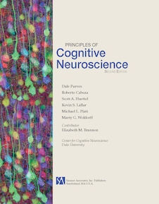 عکس Principles of Cognitive Neuroscience, 2nd Edition2013