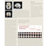 Principles of Cognitive Neuroscience, 2nd Edition2013