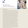 Principles of Cognitive Neuroscience, 2nd Edition2013