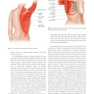 Atlas of Breast Surgery 2020
