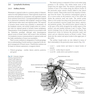 Atlas of Breast Surgery 2020