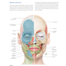 PRF in Facial EstheticsPRF