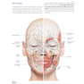 PRF in Facial EstheticsPRF
