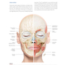 PRF in Facial EstheticsPRF