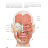 PRF in Facial EstheticsPRF