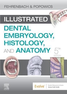 عکس Illustrated Dental Embryology, Histology, and Anatomy