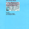 The Human Brain: Surface, Three-Dimensional Sectional Anatomy and MRI1999مغز انسان: سطح ، آناتومی مقطعی سه بعدی با MRI و تامین خون