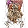 Photographic Atlas of Anatomy2021
