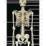 Photographic Atlas of Anatomy2021