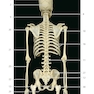 Photographic Atlas of Anatomy2021