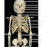 Photographic Atlas of Anatomy2021